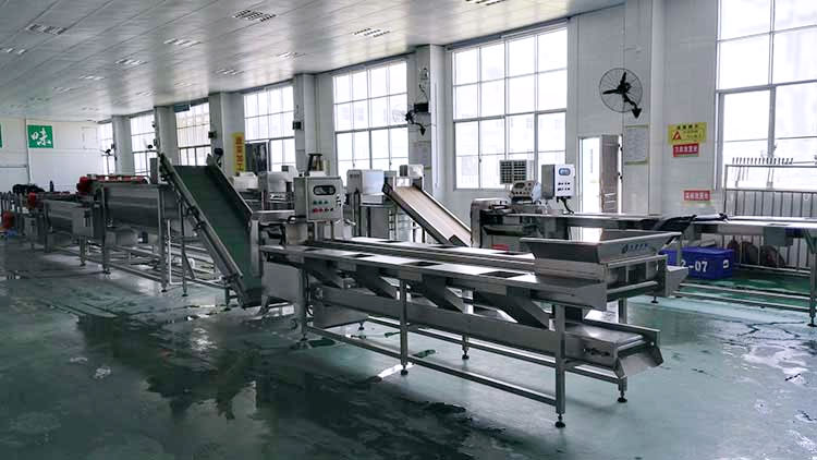 凈菜加工流水線